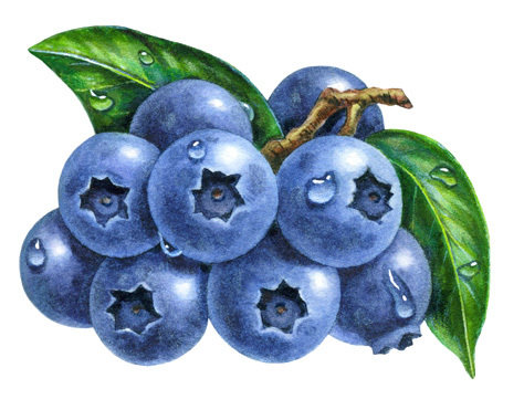 №655069 - оригинал