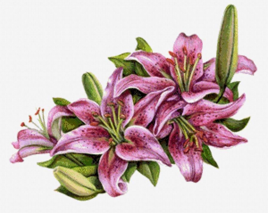 №655082 - предпросмотр