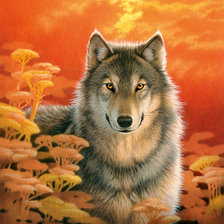 Оригинал схемы вышивки «волк» (№655211)