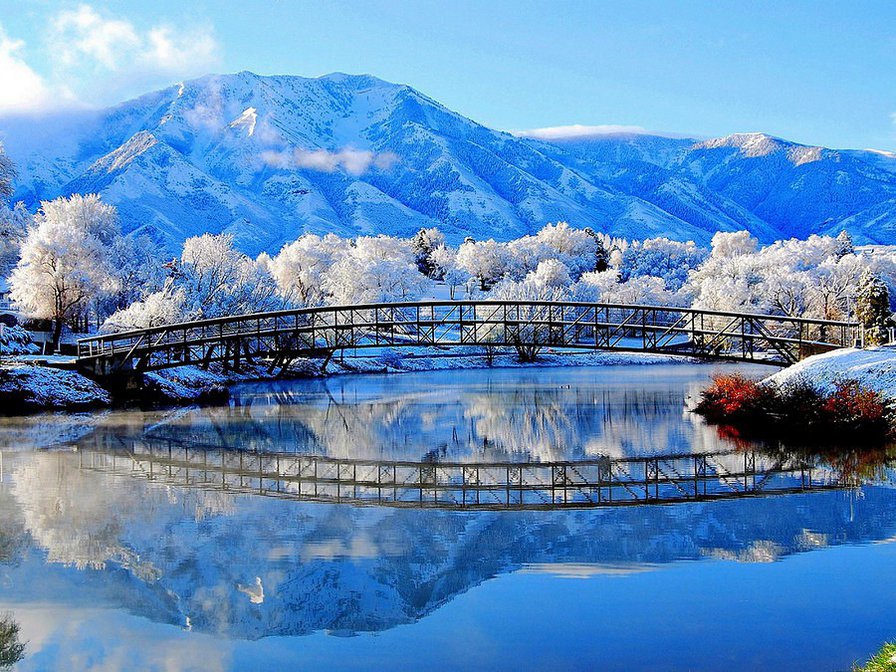 красота - оригинал