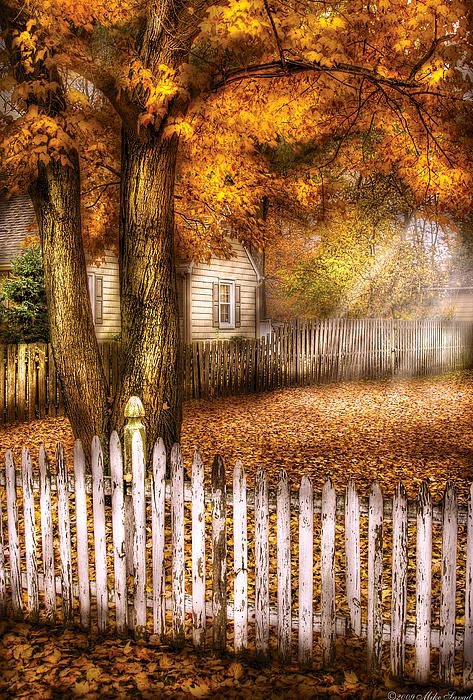 Осень - осень деревья пейзаж - оригинал