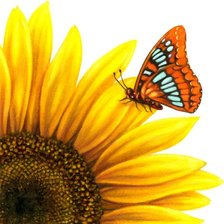 Схема вышивки «№655597»