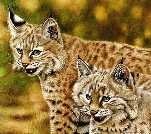 №655665 - оригинал