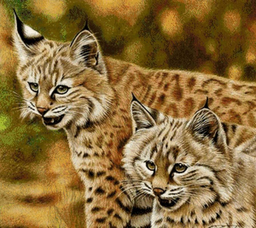 №655665 - предпросмотр