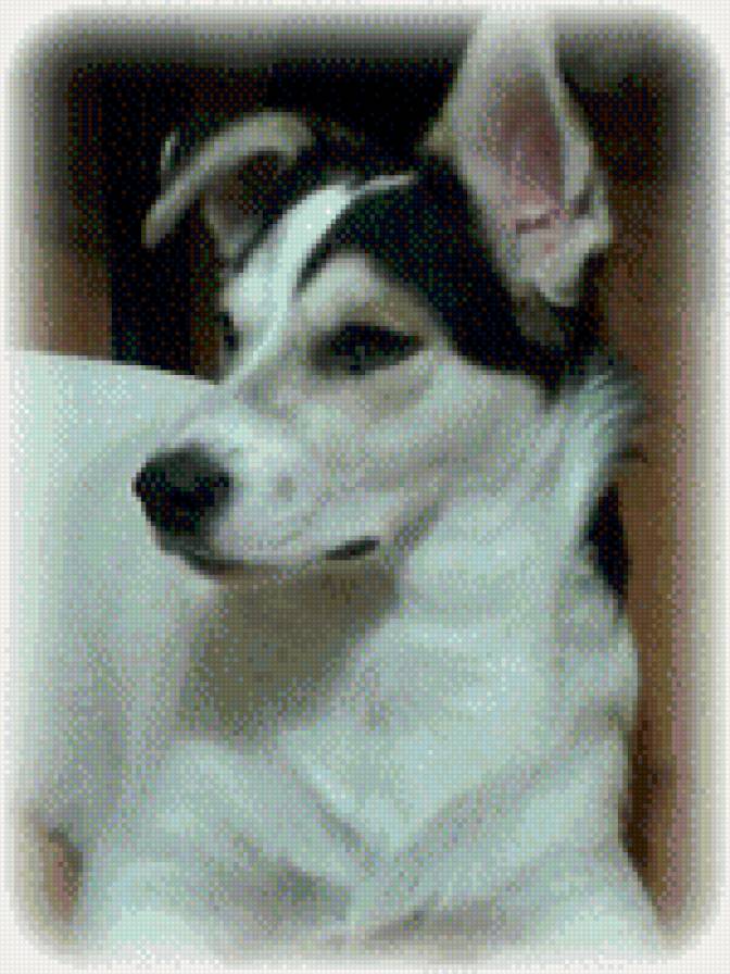 сэм - предпросмотр