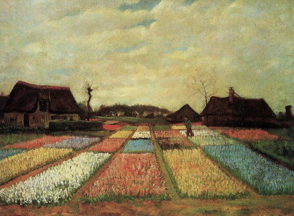 Поля тюльпанов (Ван Гог) - оригинал