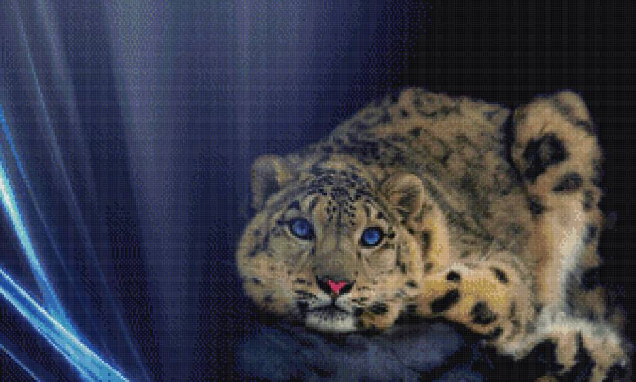 КРАСИВАЯ КИСА - предпросмотр