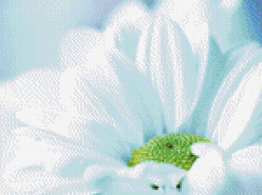 цветок - цветы - предпросмотр