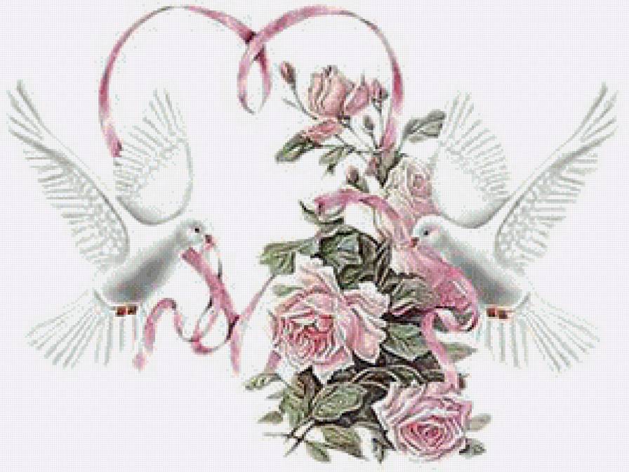 голуби - предпросмотр