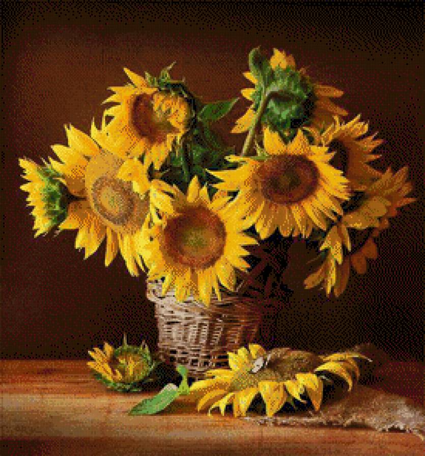 Подсолнухи - позитив, подсолнухи - предпросмотр