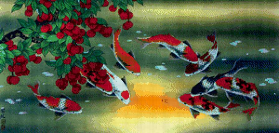 9 карпов и ягоды - кои, богатство, карпы - предпросмотр