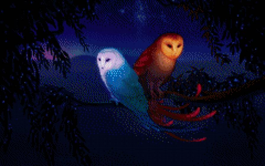 Совы - парочка, совы, ночь - предпросмотр