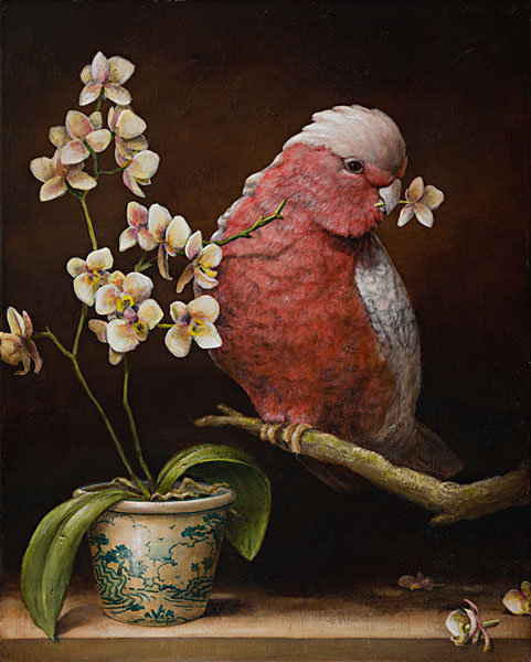 по картине Кевина Слоана - живопись, кевин слоан, цветок, попугай - оригинал