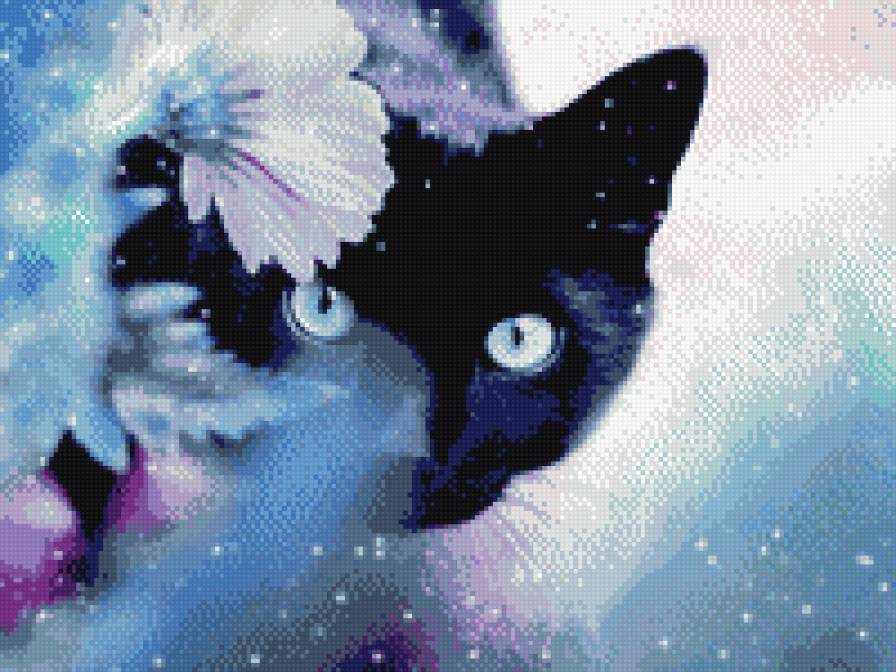 черный кот - цветы, кот - предпросмотр