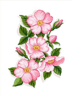 яблоня - оригинал