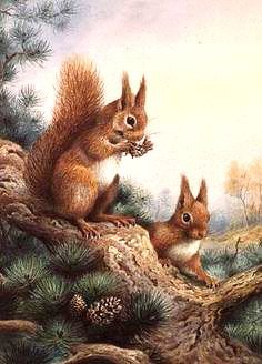 №656407 - оригинал