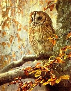 №656442 - оригинал