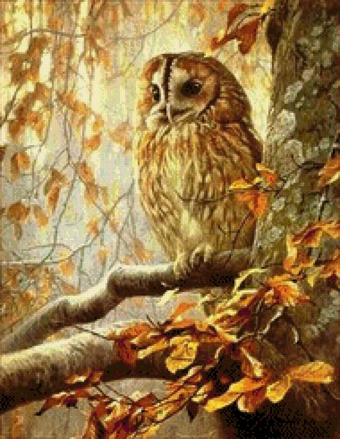 №656442 - предпросмотр