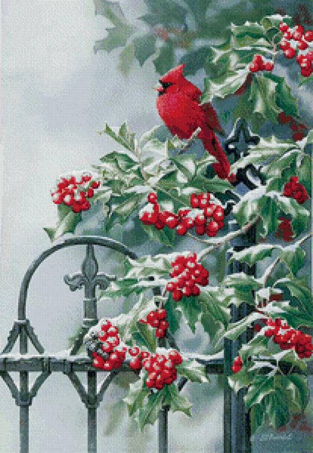 2114 - предпросмотр