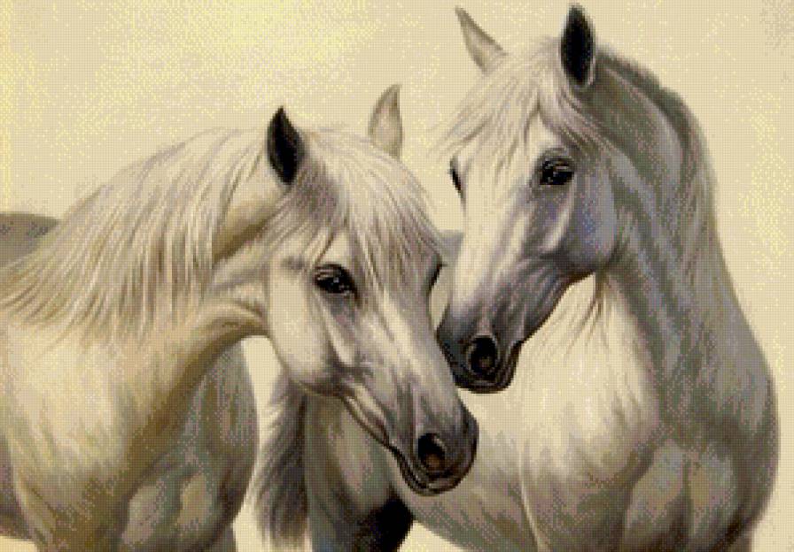 пара лошадей - предпросмотр