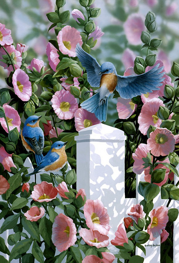 птицы - оригинал