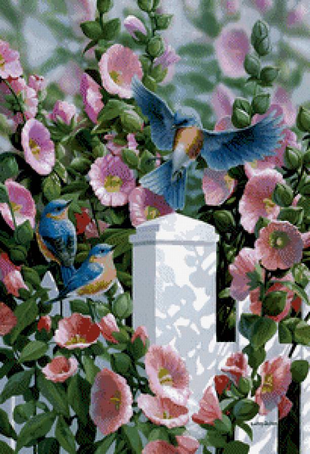 птицы - предпросмотр