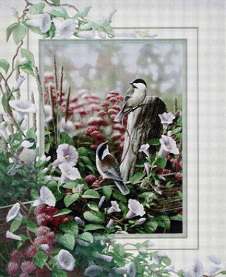 птицы - предпросмотр