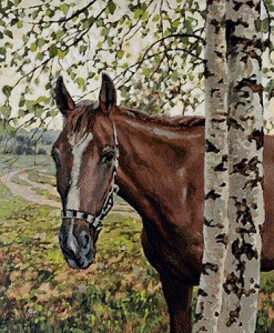 конь - животные, конь - оригинал