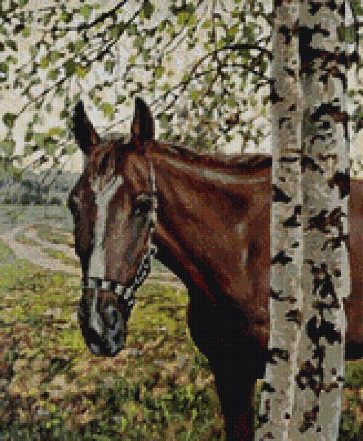 конь - конь, животные - предпросмотр