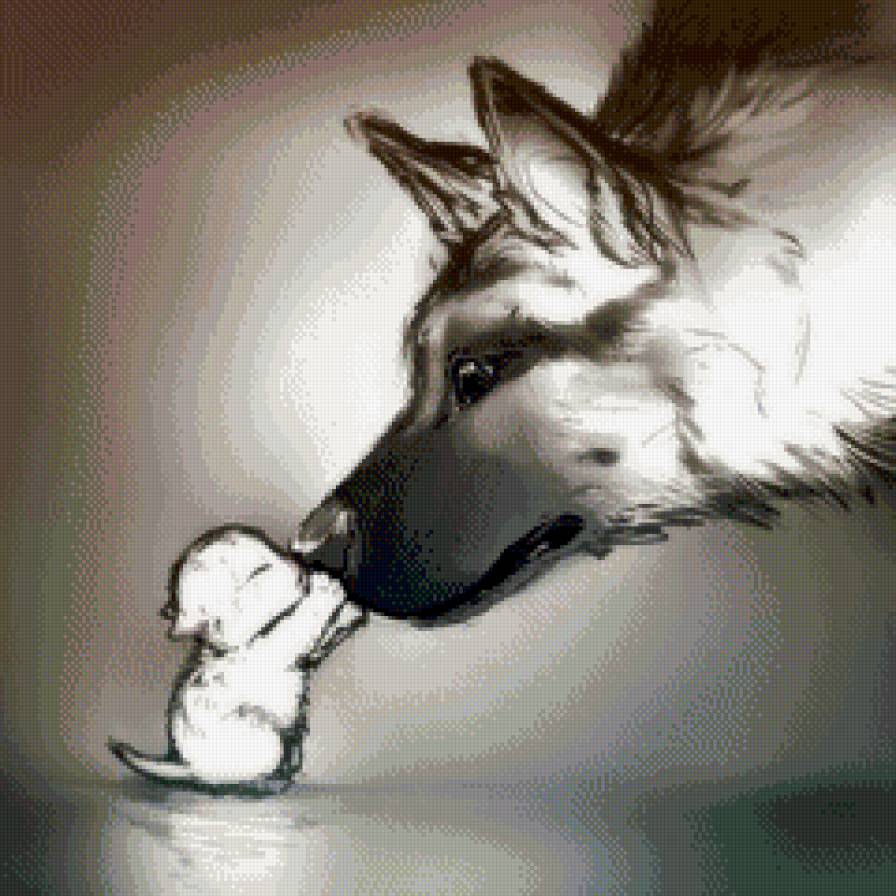 Дружба - котенок, собака, животные - предпросмотр