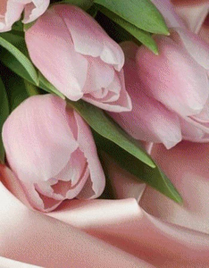 №657647 - предпросмотр