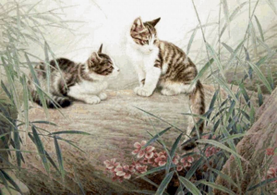 свидание - котики - предпросмотр