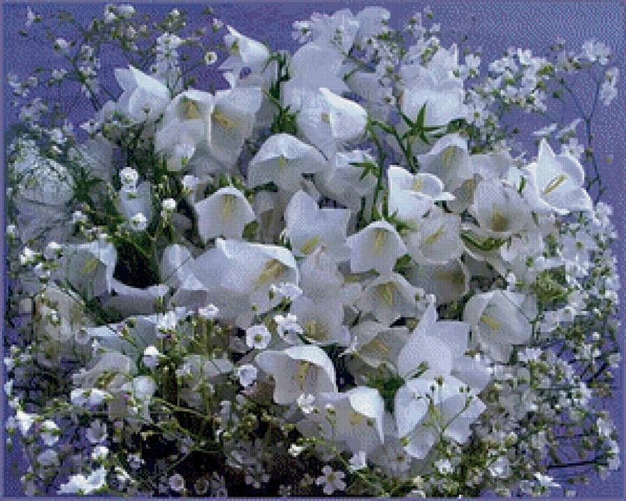 колокольчики - предпросмотр