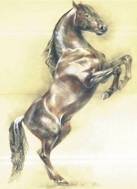 Конь - живопись, лошади - оригинал