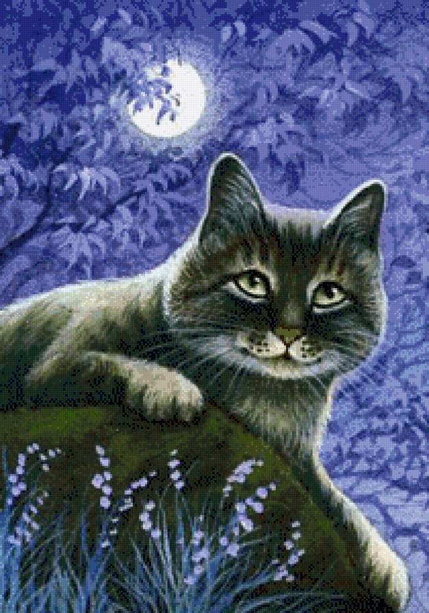 №657830 - предпросмотр