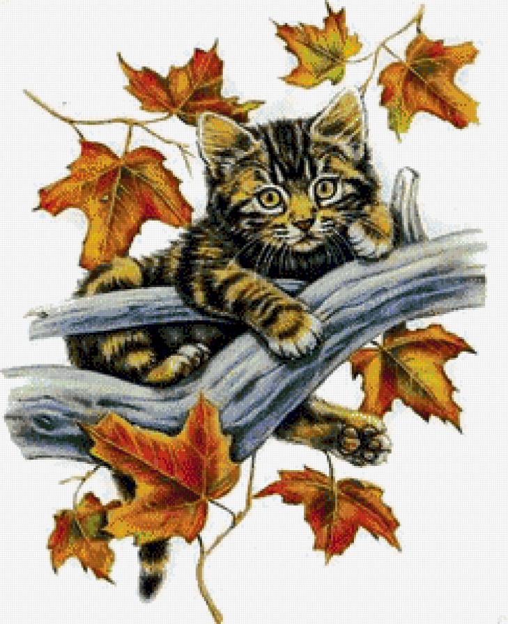 Котёнок - кошка, кот, животные - предпросмотр