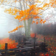 Осенняя дымка