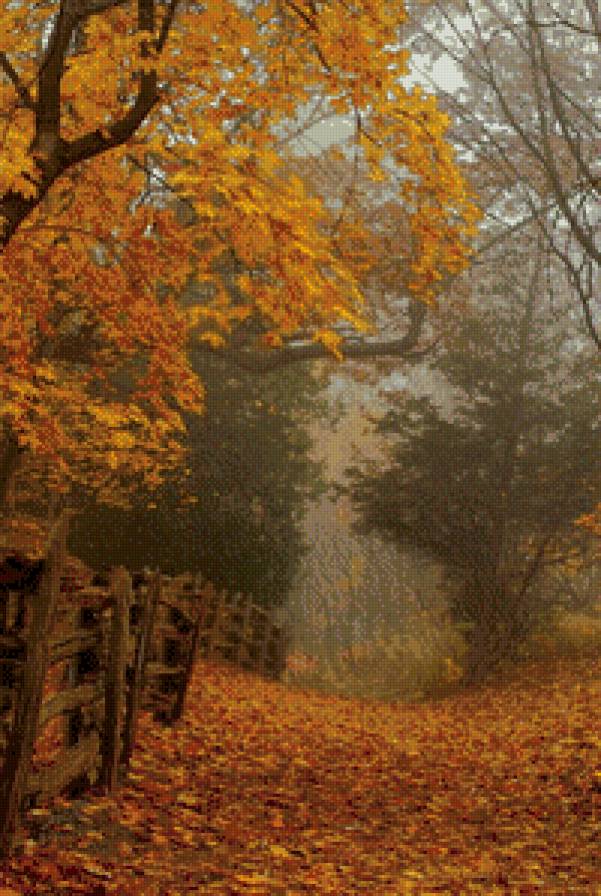 Романтика осени - осень деревья пейзаж - предпросмотр
