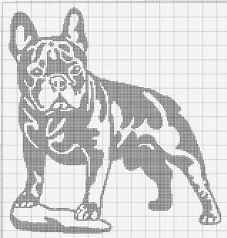 бульдог - животные, собака. монохром - оригинал