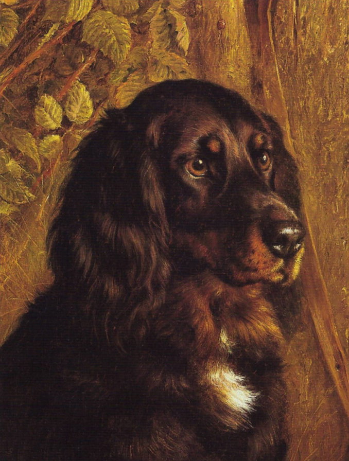 собаки - оригинал