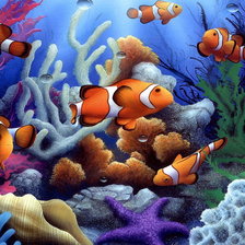 Подводный мир