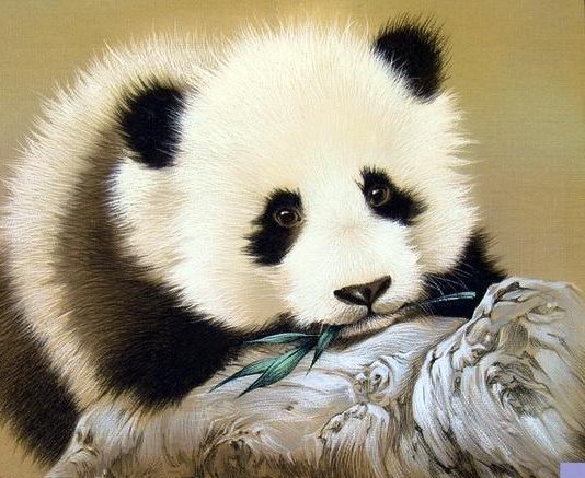Панда - оригинал