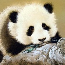 Панда