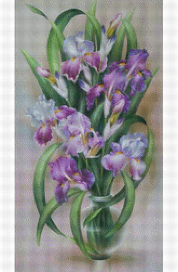 Букет ирисов - цветы, букет - предпросмотр