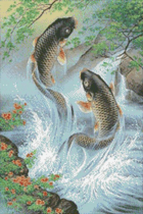 карпы - рыбы - предпросмотр