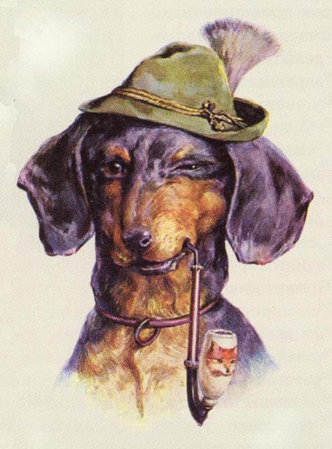 похоже чем-то на таксу - оригинал