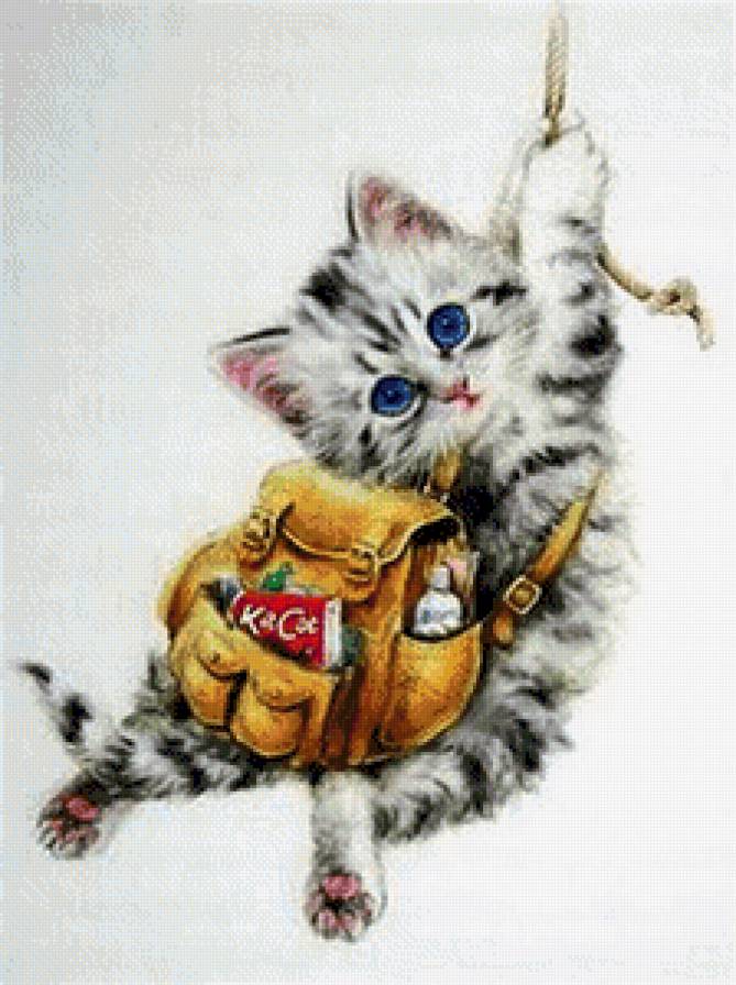 №658702 - предпросмотр