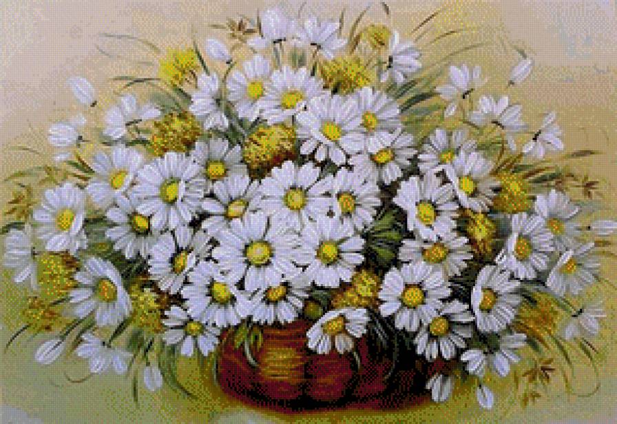ромашки - цветы - предпросмотр
