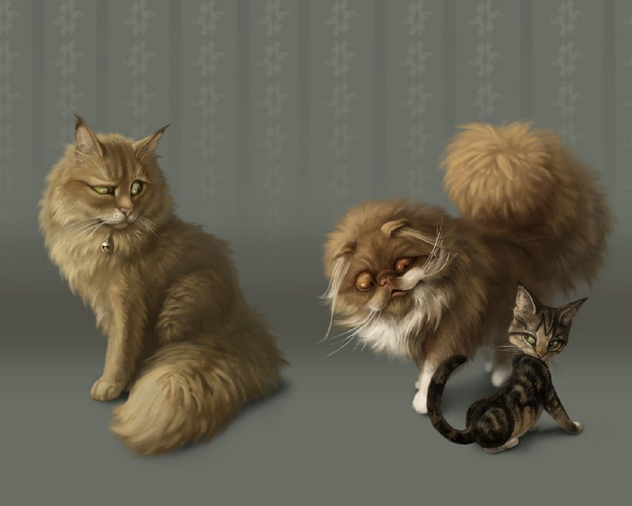 рыжие коты - оригинал