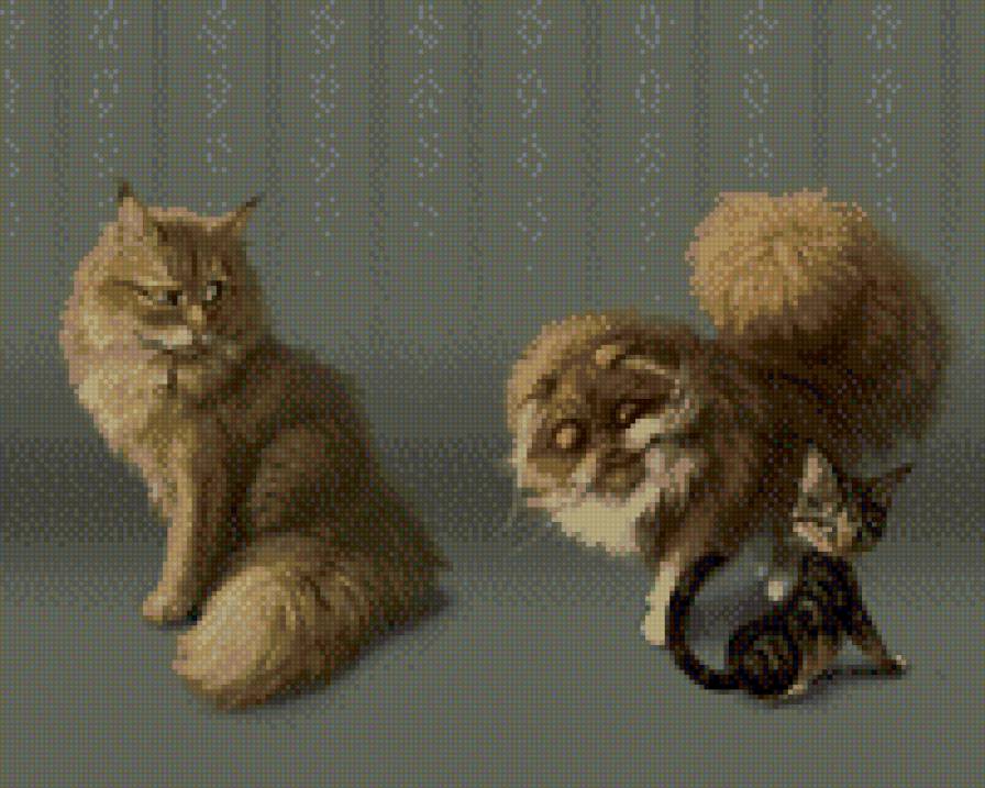 рыжие коты - предпросмотр